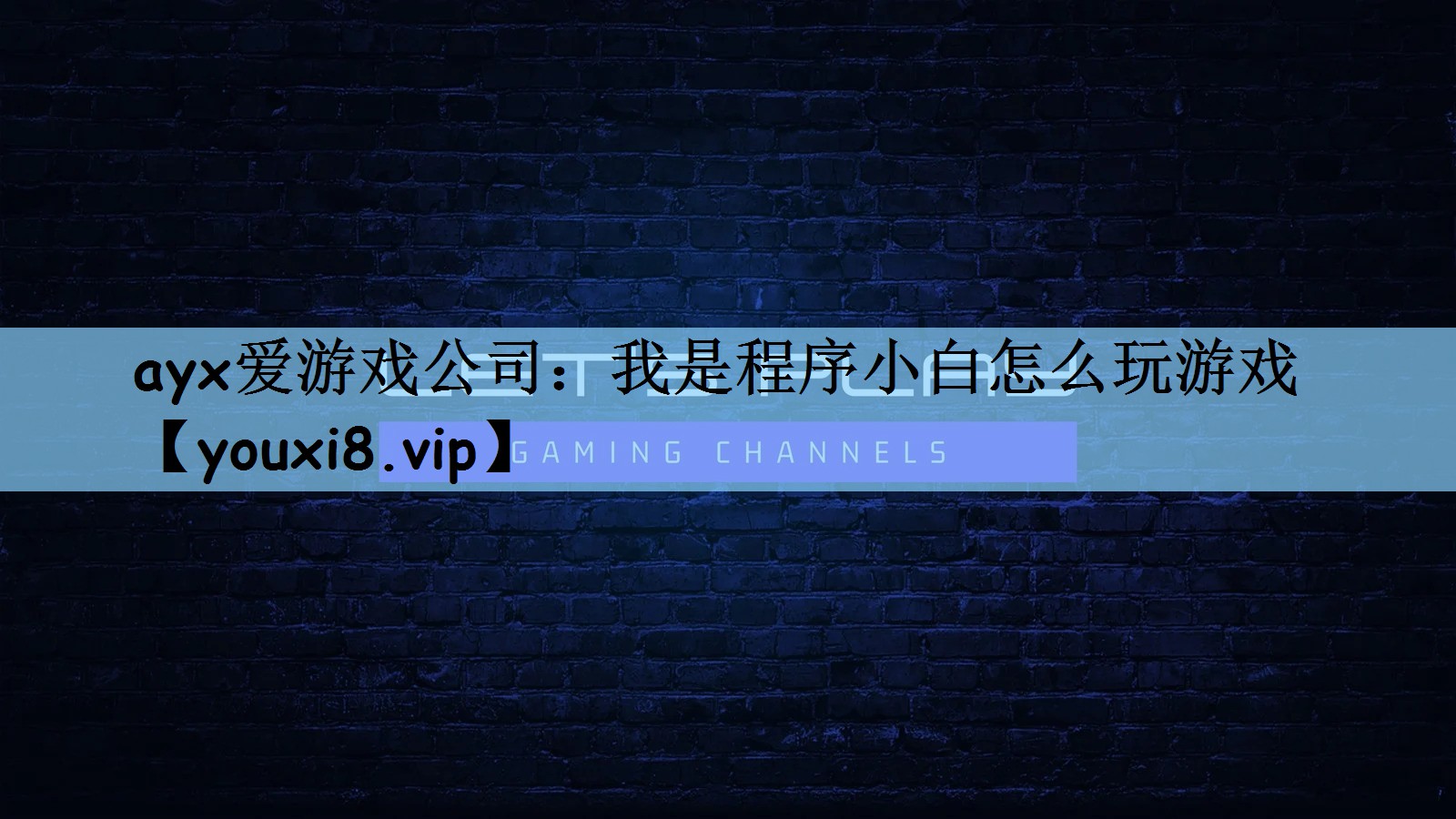 我是程序小白怎么玩游戏