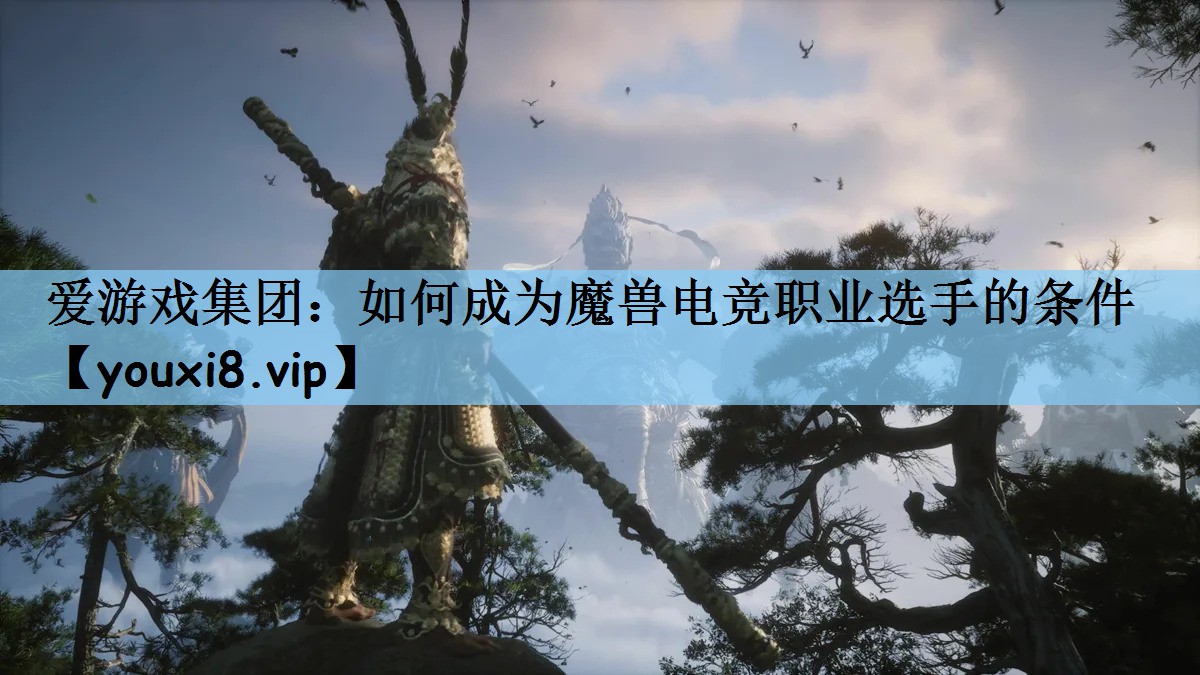 如何成为魔兽电竞职业选手的条件