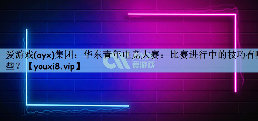 华东青年电竞大赛：比赛进行中的技巧有哪些？
