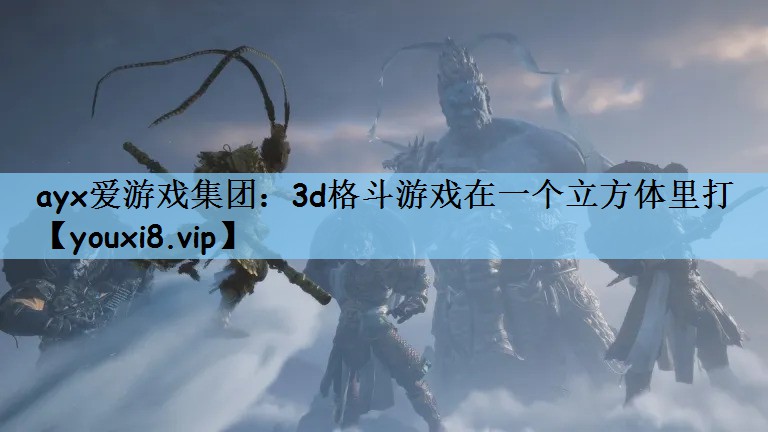 ayx爱游戏集团：3d格斗游戏在一个立方体里打
